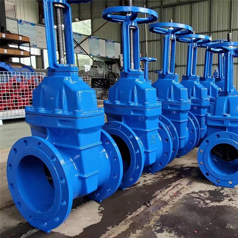 Ductile Iron Gate Valve